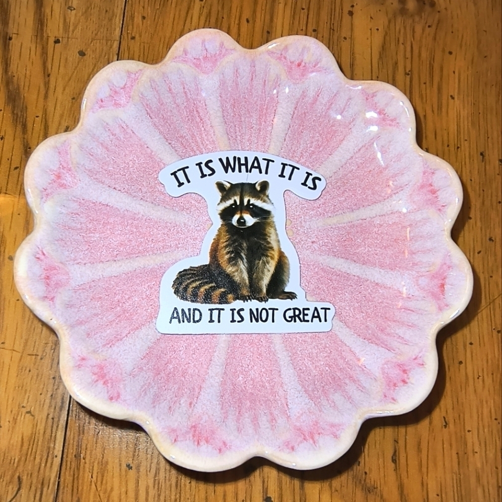 5/$10 It is what it is funny racoon sticker vinyl computer decal